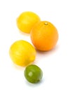 Citrus fruits