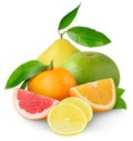 Citrus fruits Royalty Free Stock Photo