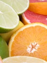 Citrus Fruits Royalty Free Stock Photo