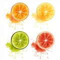 Citrus fruits