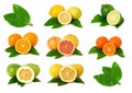 Citrus fruits