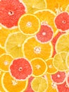 Citrus Fruits Background Mix