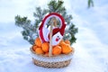 Citrus fruits in a basket in winter against the background of a winter forest, snow and frost, mandarin in a basket and