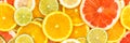 Citrus fruits collection food background banner oranges lemons limes grapefruit fresh fruit Royalty Free Stock Photo