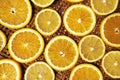 Citrus fruits collection food background oranges lemons limes grapefruit fresh fruit backgrounds