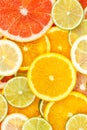 Citrus fruits collection food background oranges lemons limes portrait format grapefruit fresh fruit Royalty Free Stock Photo