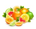 Citrus Fruits Collection Realistic Composition Royalty Free Stock Photo