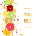 Citrus fruits fresh juice. Bergamot, lemon, grapefruit, lime, mandarin, pomelo, orange, blood orange with splashes