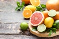 Citrus fruits Royalty Free Stock Photo