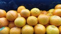 Citrus fruits neatly arranged on the shop shelf