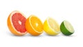 citrus fruits orange, grapefruit, lemon and lime isolated on white background Royalty Free Stock Photo