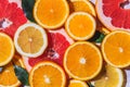 Citrus fruits. Orange, lemon, grapefruit Royalty Free Stock Photo