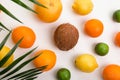 Citrus fruits - orange, lemon, grapefruit, lime, coconut and palm leaves on white background Royalty Free Stock Photo