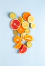 Citrus fruits. Orange, lemon, grapefruit, mandarin and lime on a trendy blue background Royalty Free Stock Photo