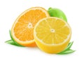 Citrus fruits. Orange, lemon, lime isolated on white background. Royalty Free Stock Photo