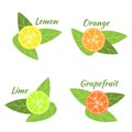 Citrus fruits orange, lime, grapefruit and lemon