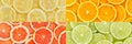 Citrus fruits oranges lemons food background banner collection collage set fruit Royalty Free Stock Photo