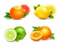 Citrus Fruits 4 Realistic Icons Set