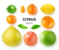 Citrus fruits in a row Royalty Free Stock Photo