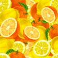 Citrus fruits seamless background Royalty Free Stock Photo