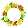 Citrus Fruits Slices Arrangement Round Frame