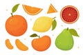 Citrus fruits slices, whole and halves. Orange, grapefruit, lemon, pomelo isolated vector icons. Tropical fruits set. Royalty Free Stock Photo