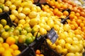 Citrus fruits sold in the supermarket, lemons, oranges, limes in boxes Royalty Free Stock Photo