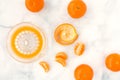 Citrus Glass Juicer and Clementines on White Marble Background Royalty Free Stock Photo