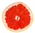 Citrus grapefruit slice
