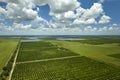 Citrus grove farmlands with rows of orange trees growing in rural Florida on a sunny day Royalty Free Stock Photo