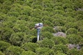 Citrus Groves With Fan Royalty Free Stock Photo