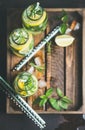 Citrus and herbs infused sassi water in tray, copy space Royalty Free Stock Photo