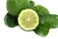 Citrus hystrix, Bergamot white background