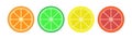 Citrus icon: orange, lime, lemon and grapefruit. Vector illustration. Tropical healthy food. Nature vitamins from juicy fresh Royalty Free Stock Photo