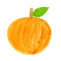 Citrus illustration, orange fruit watercolor kids art, orange clip art media, children hand draw concept