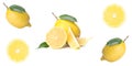 Citrus isolate, fresh lemon, whole and slices, on white background