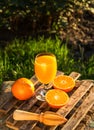 Citrus juice. Mandarin juice. Refreshing orange juice