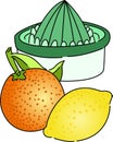 Citrus Juicer