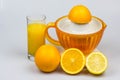 Citrus juicer on a white background Royalty Free Stock Photo