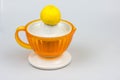 Citrus juicer on a white background Royalty Free Stock Photo
