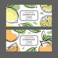 CITRUS LABELS Design Sticker Sketch Vector Illustration Set