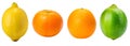 Citrus lemon, tangerine, orange and lime, set isolated on white background, clipping path. Royalty Free Stock Photo