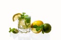 Citrus lemonade with ice in a glass decorated with lemon, lime and mint slices and on a white background. Fresh summer Royalty Free Stock Photo