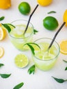 Citrus lemonade with limes, mint and lemons in glass on white table Royalty Free Stock Photo