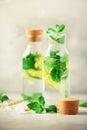 Citrus lemonade - mint, lemon and tropical monstera leaves on grey background. Detox drink. Summer fruit infused water Royalty Free Stock Photo