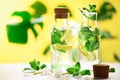 Citrus lemonade - mint, lemon and tropical monstera leaves on yellow background. Detox drink. Summer fruit infused water