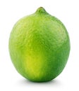 Citrus lime fruit isolated on white Royalty Free Stock Photo