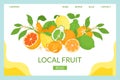Citrus local landing vector illustration. Close-up composition fresh tropical fruits. Ripe juicy grapefruit natural