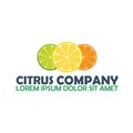 Citrus logo company. Lemon. Vector logo illustration.