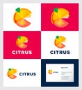 Citrus logo. Fresh juice and organic product logo. Citrus fruit consist of some transparent elements.